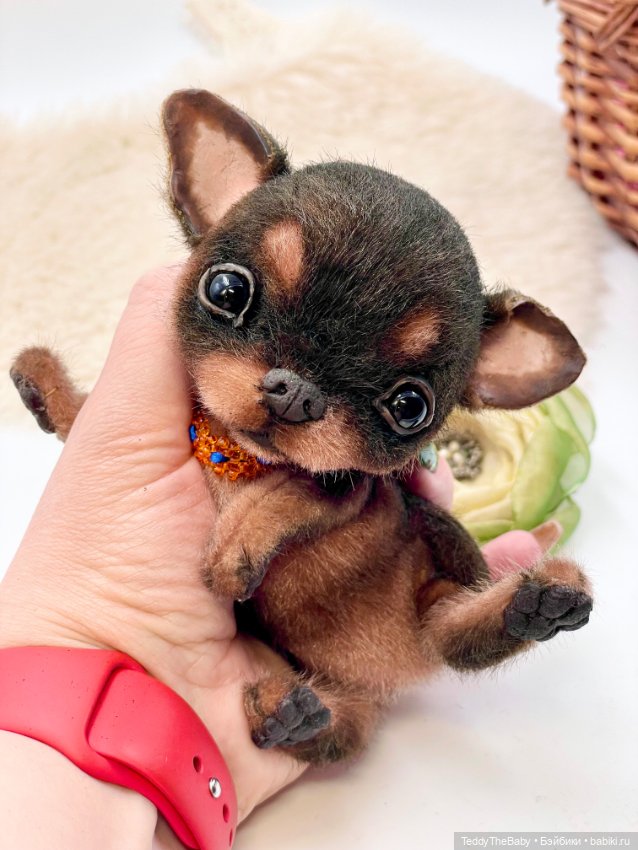 Мася ( щенок чихуахуа) — Авторские игрушки