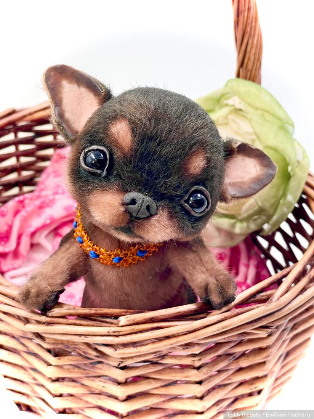 Мася ( щенок чихуахуа) — Авторские игрушки (фото 8)