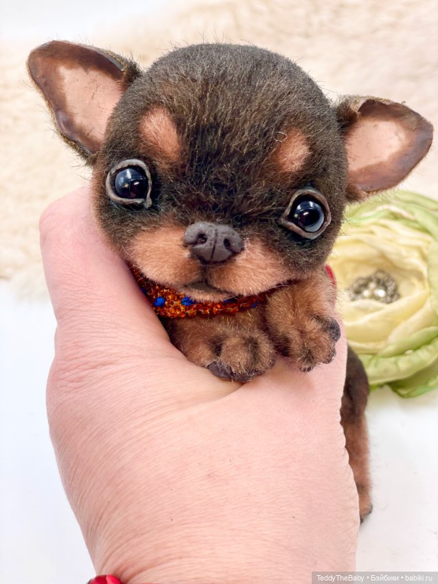 Мася ( щенок чихуахуа) — Авторские игрушки