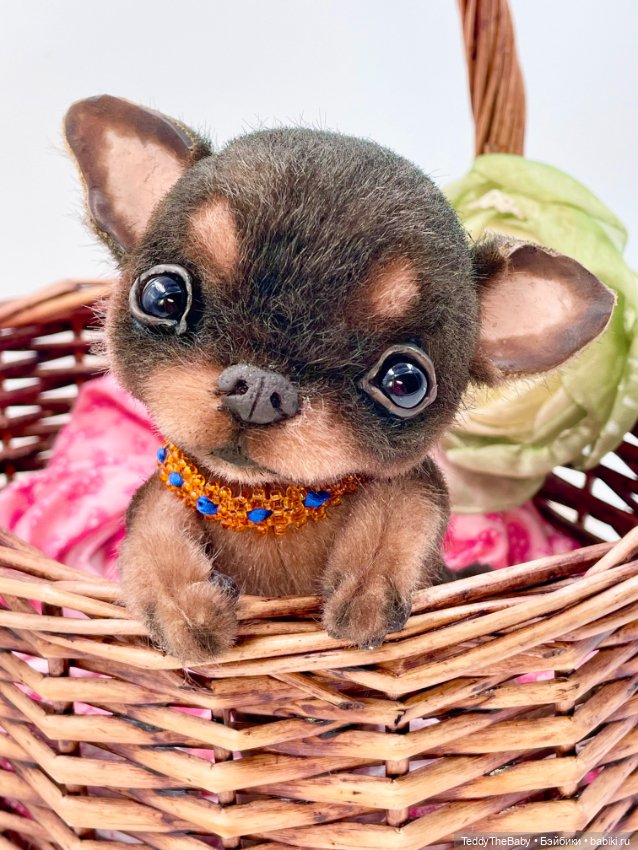 Мася ( щенок чихуахуа) — Авторские игрушки (фото 10)