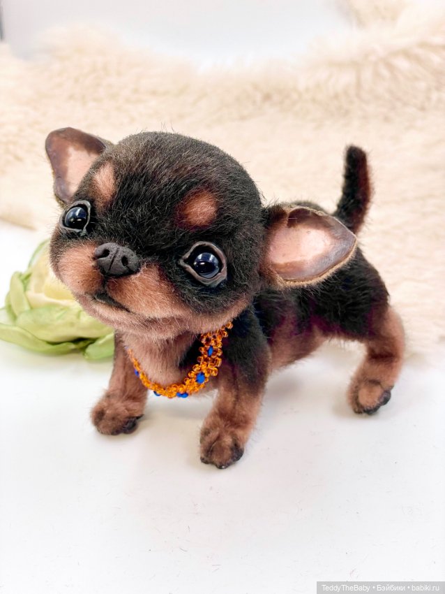 Мася ( щенок чихуахуа) — Авторские игрушки (фото 6)