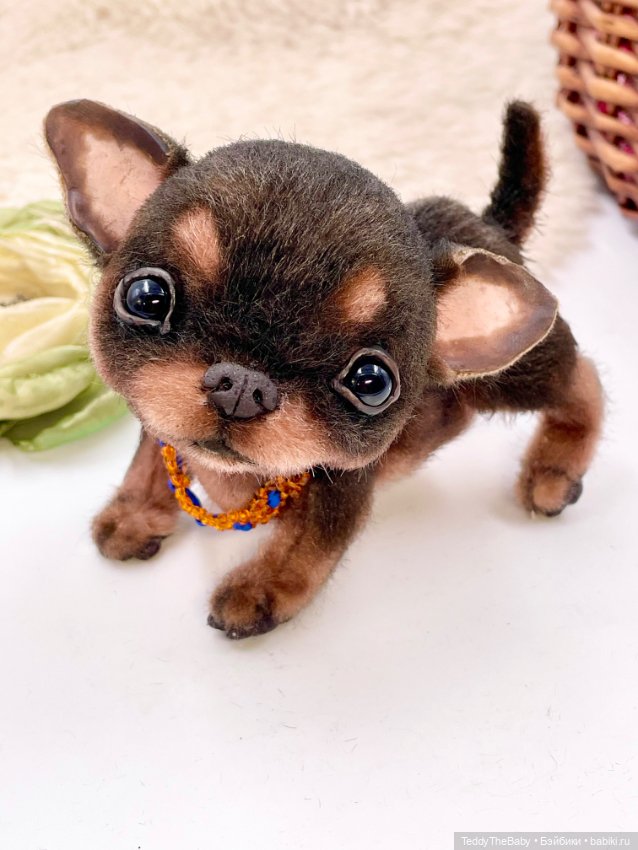 Мася ( щенок чихуахуа) — Авторские игрушки (фото 4)