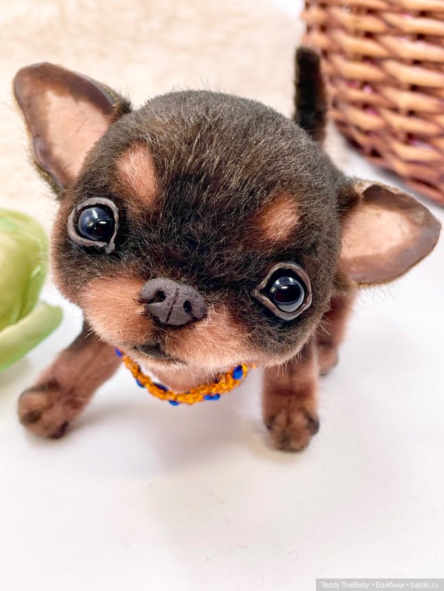 Мася ( щенок чихуахуа) — Авторские игрушки (фото 5)