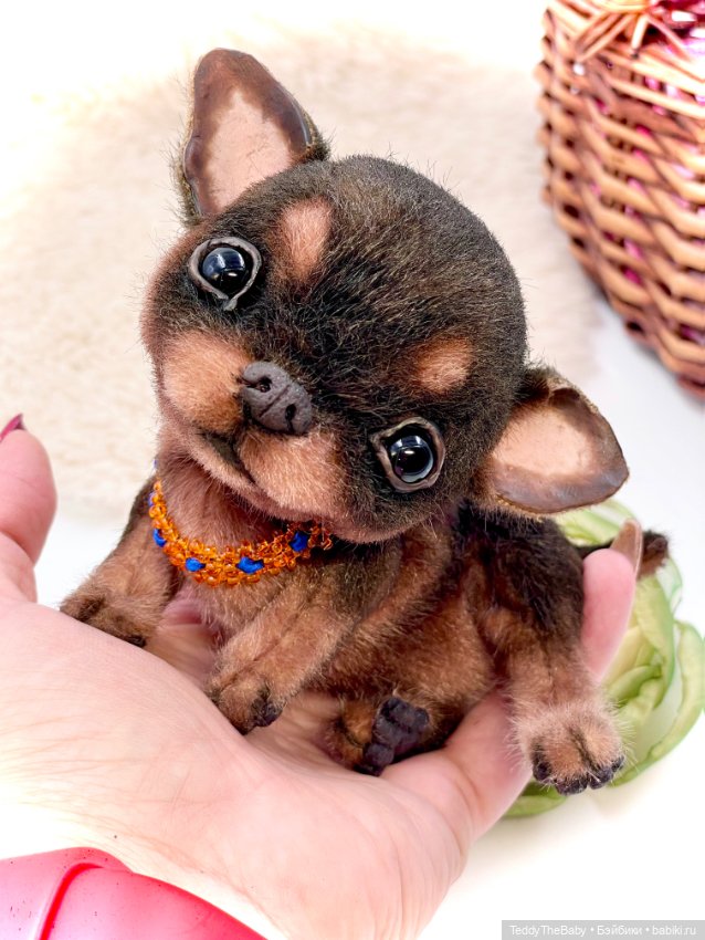 Мася ( щенок чихуахуа) — Авторские игрушки (фото 9)