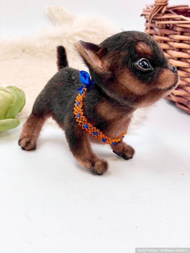 Мася ( щенок чихуахуа) — Авторские игрушки (фото 7)