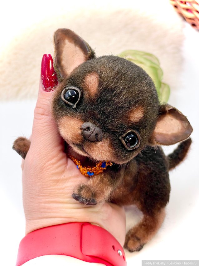 Мася ( щенок чихуахуа) — Авторские игрушки (фото 2)