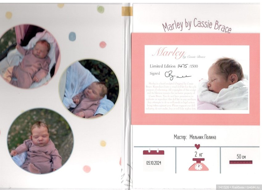 Marley — Куклы реборн (фото 5)