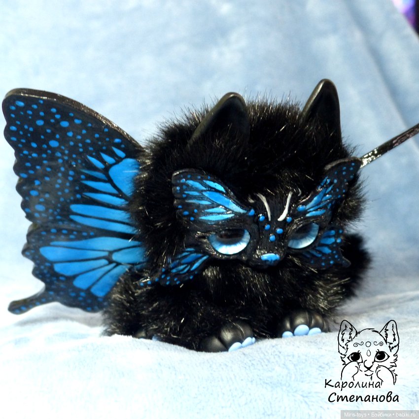 Бабочковый котенок Папилиофелис (фото 6)