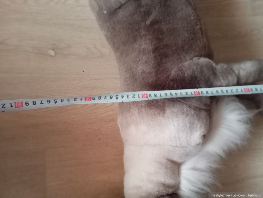 Замечательная большая коза (фото 4)