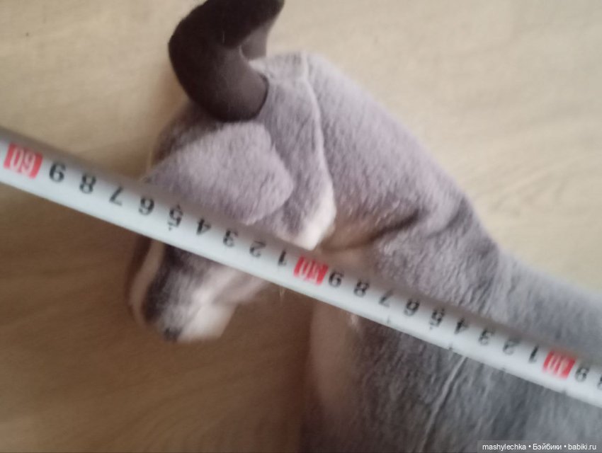 Замечательная большая коза (фото 5)