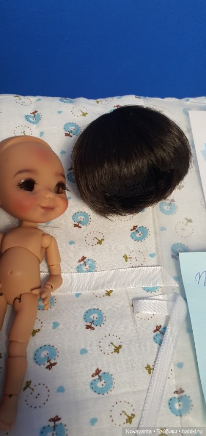 Медовушка Nunnu ищет семью (фото 3)