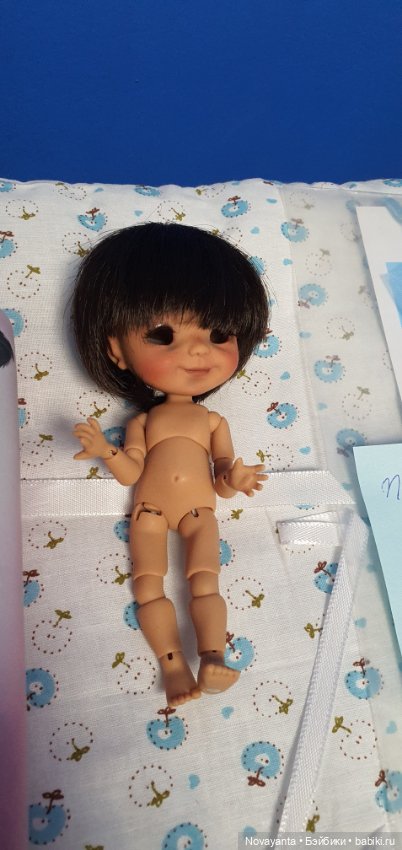 Медовушка Nunnu ищет семью (фото 4)