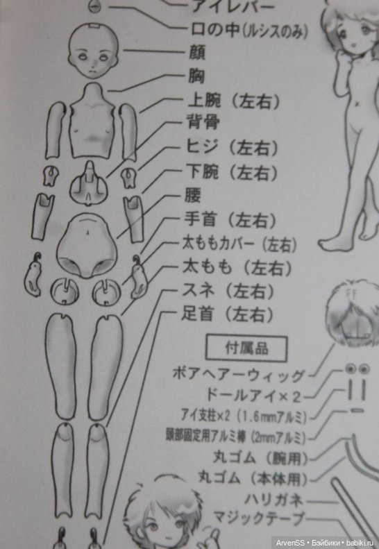 U-Noa Lusis Гентаро Араки (фото 4)