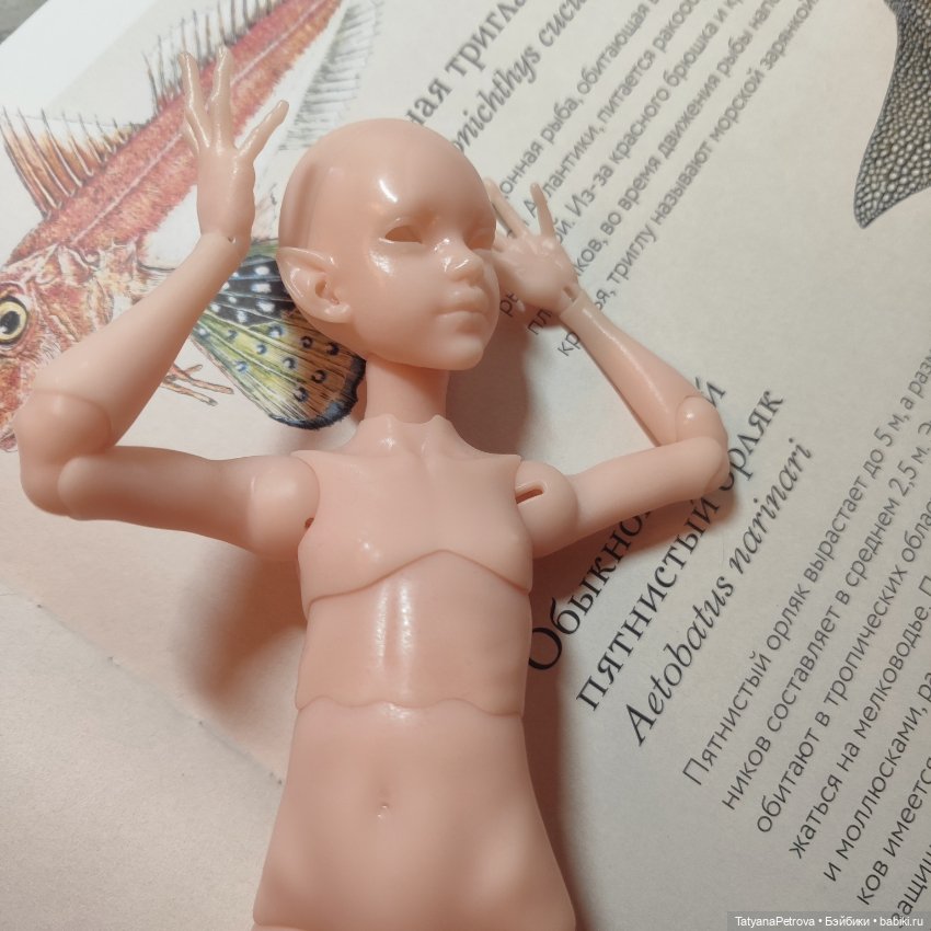 Иден Эльф Morphingon печатная (фото 6)