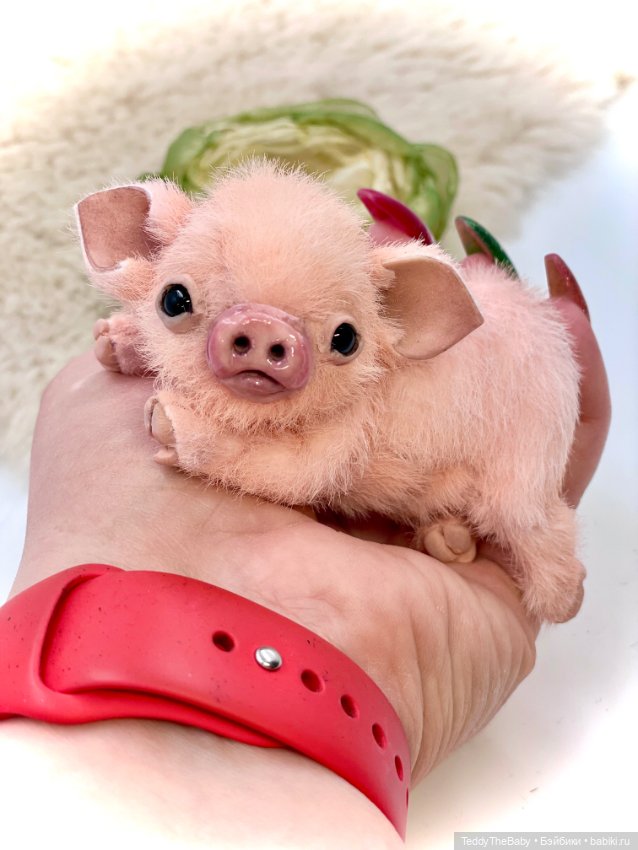 Бонапарт — Авторские игрушки