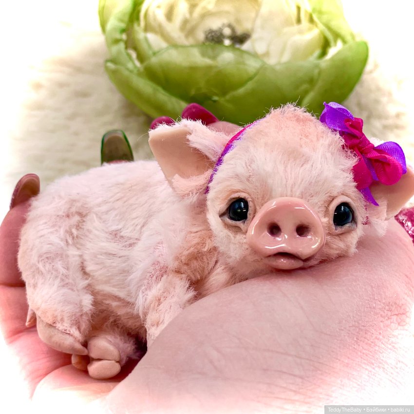 Бонапарт и Жозефина (Боня и Жози)