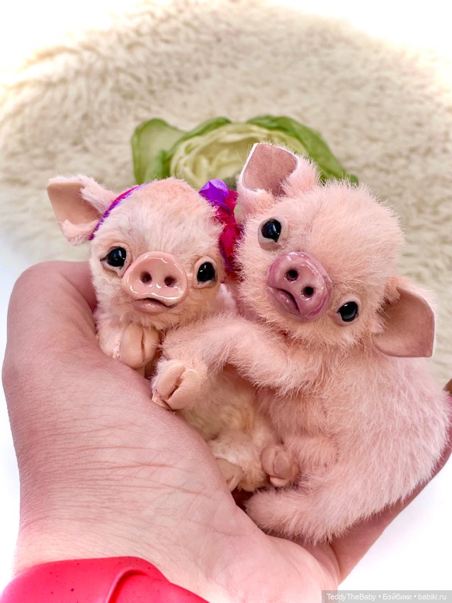 Бонапарт и Жозефина (Боня и Жози) (фото 3)