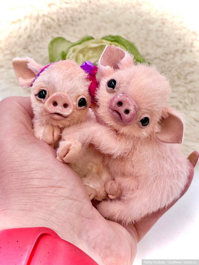 Бонапарт и Жозефина (Боня и Жози) (фото 4)