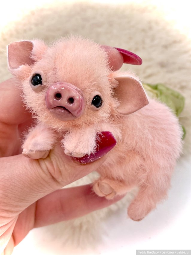 Бонапарт и Жозефина (Боня и Жози) (фото 7)