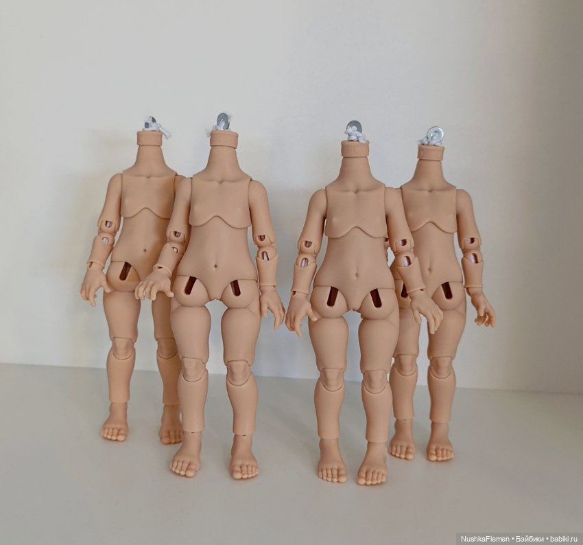 Тела для Паола Рейна мини (фото 5)