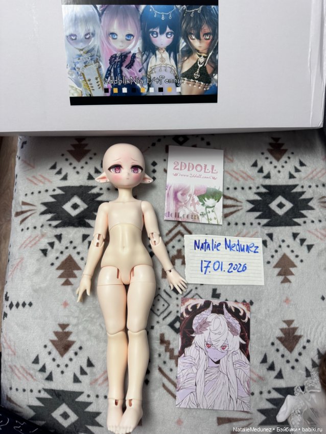 2DDoll Penny 1/4 — Куклы BJD (фото 6)
