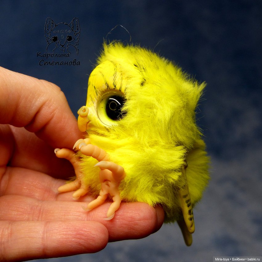 Птенец волнистый попугайчик (Желтый) (фото 7)