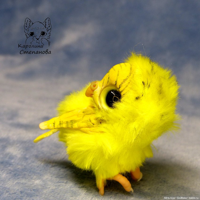 Птенец волнистый попугайчик (Желтый)