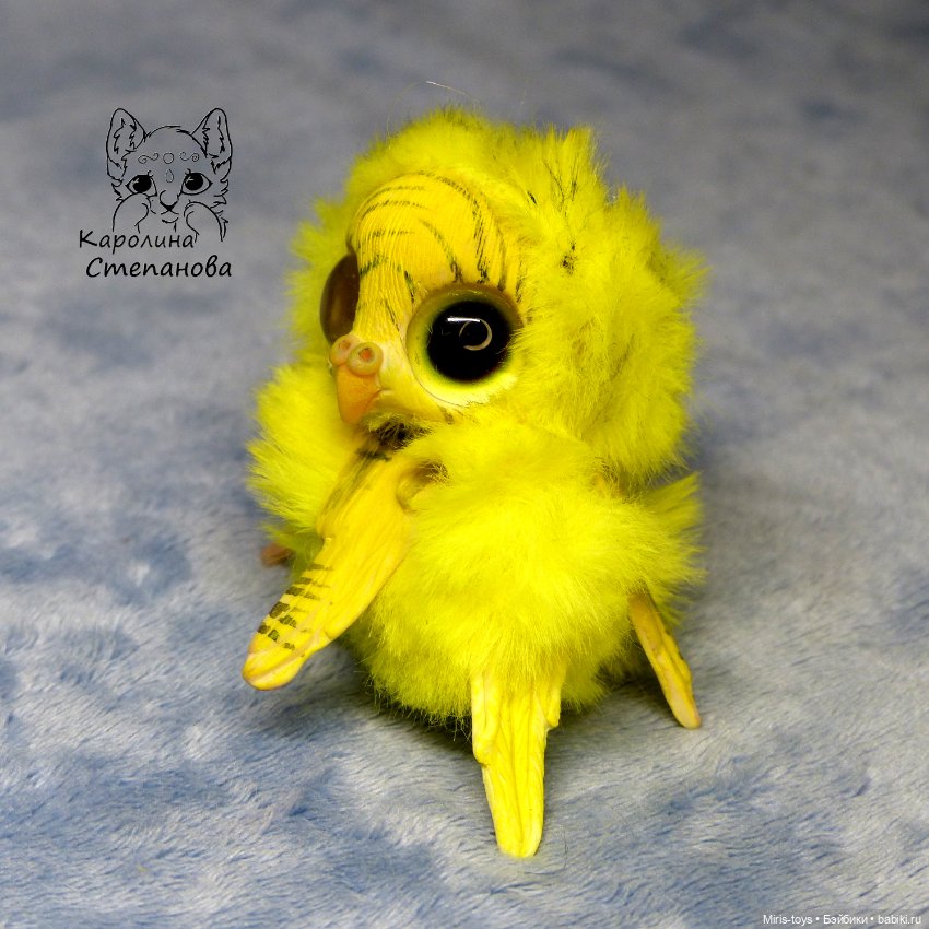 Птенец волнистый попугайчик (Желтый) (фото 4)