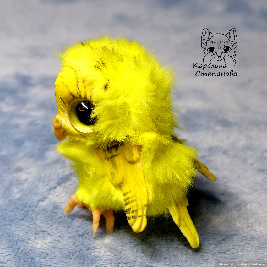 Птенец волнистый попугайчик (Желтый) (фото 9)
