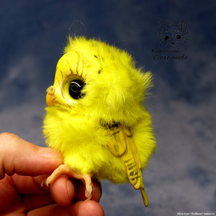 Птенец волнистый попугайчик (Желтый) (фото 8)