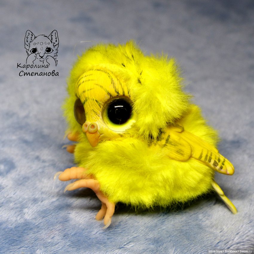 Птенец волнистый попугайчик (Желтый) (фото 3)