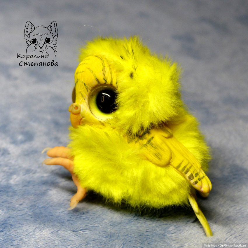 Птенец волнистый попугайчик (Желтый) (фото 2)
