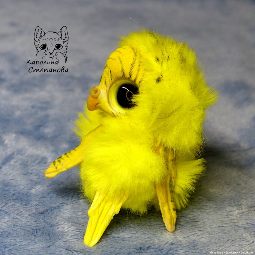 Птенец волнистый попугайчик (Желтый) (фото 5)