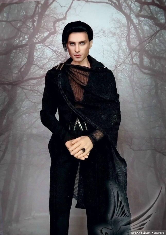 Кукла кен ООАК Синички — ООАК (кастом куклы)