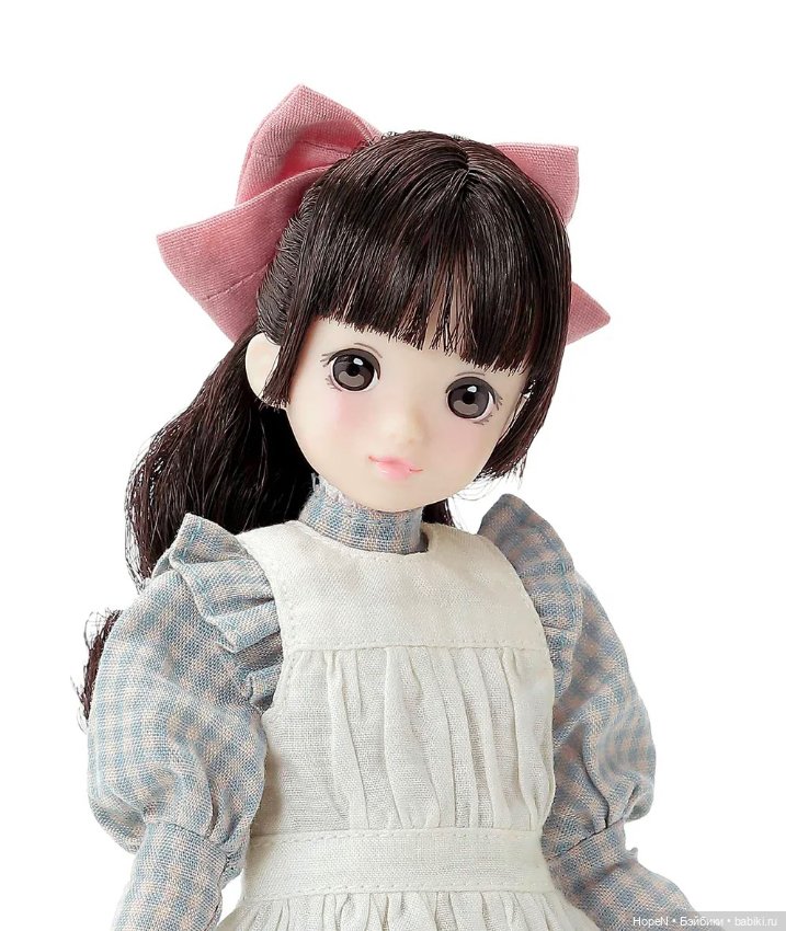 Ruruko Apple Orchard — Шарнирные куклы (не BJD) (фото 4)