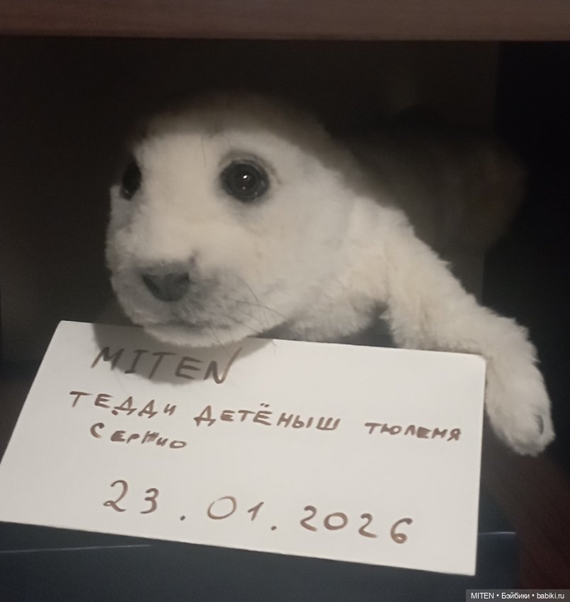 Тедди натюр: детёныш тюленя Сержио (фото 3)