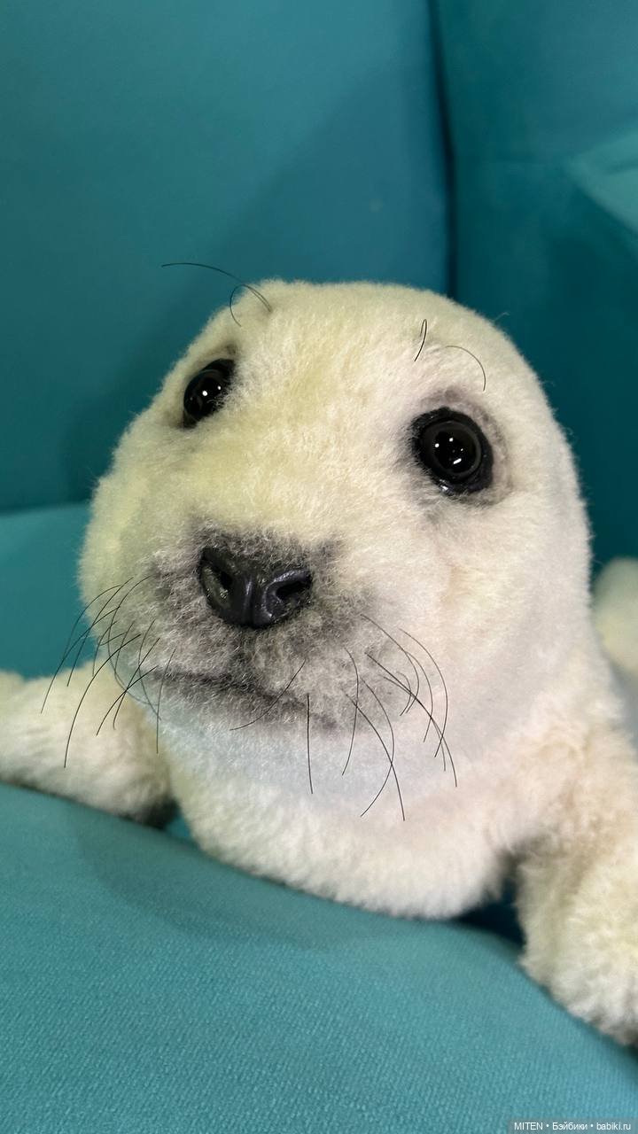 Тедди натюр: детёныш тюленя Сержио (фото 4)