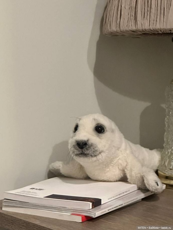 Тедди натюр: детёныш тюленя Сержио (фото 2)