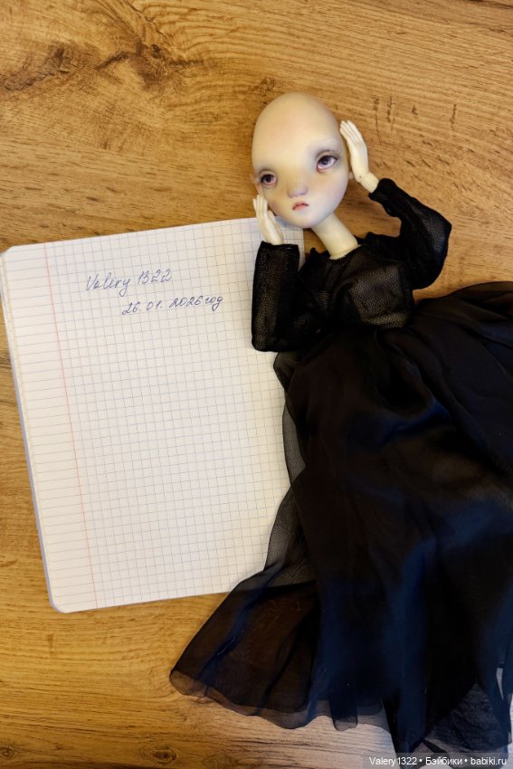 Кукла Ольги Луниной — ООАК (кастом куклы) (фото 5)