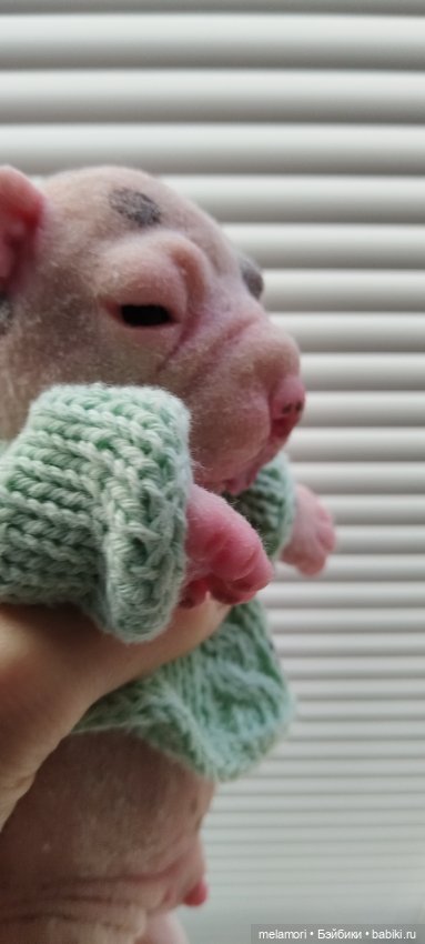 Милый полностью силиконовый щенок 🐾