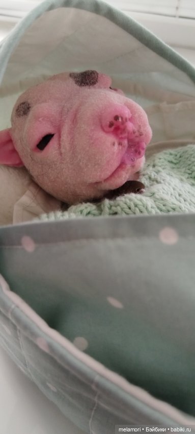 Милый полностью силиконовый щенок 🐾 (фото 2)