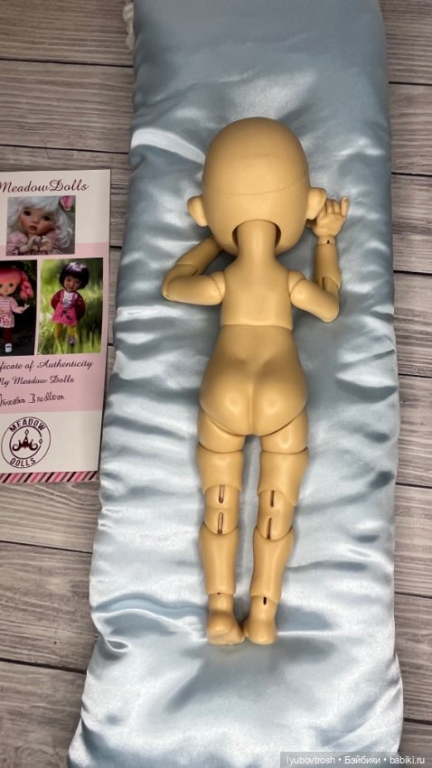 Продаю замечательную Сиси Dumplings ❗️ (фото 8)