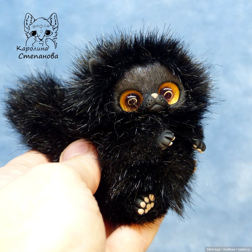 Котенок мини Черный принц (фото 2)