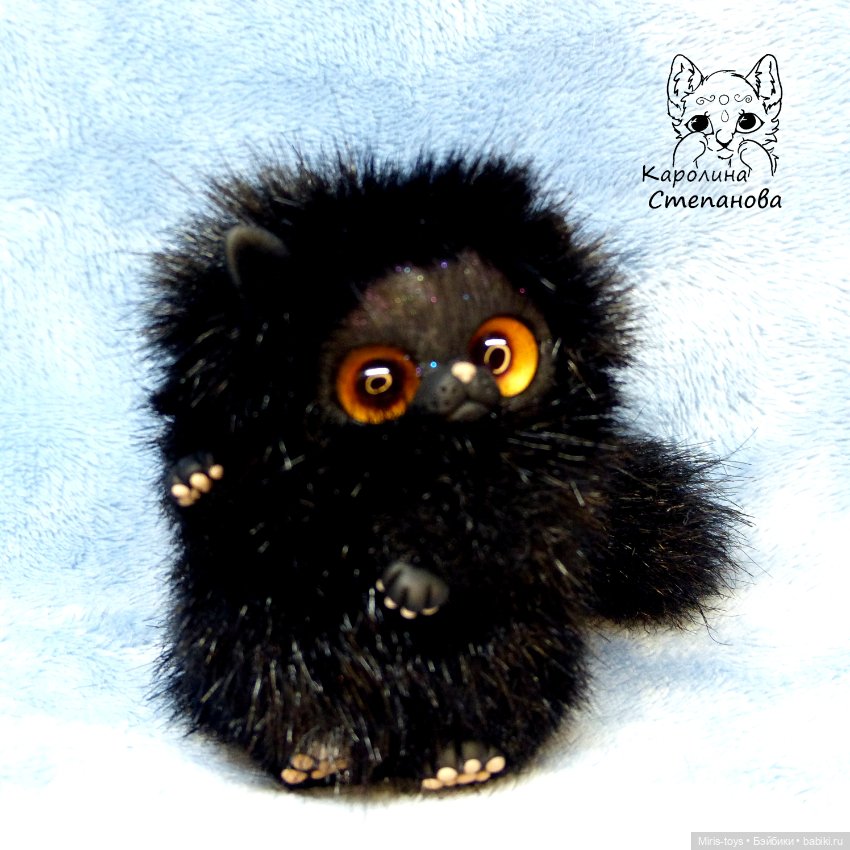 Котенок мини Черный принц (фото 5)