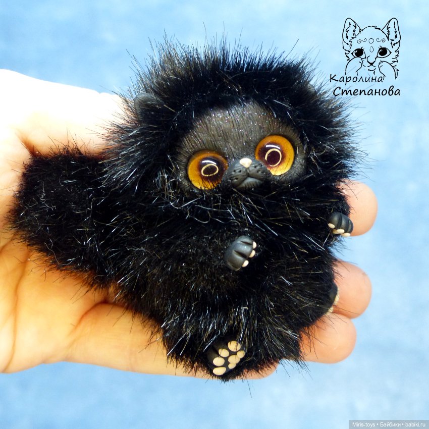 Котенок мини Черный принц (фото 4)