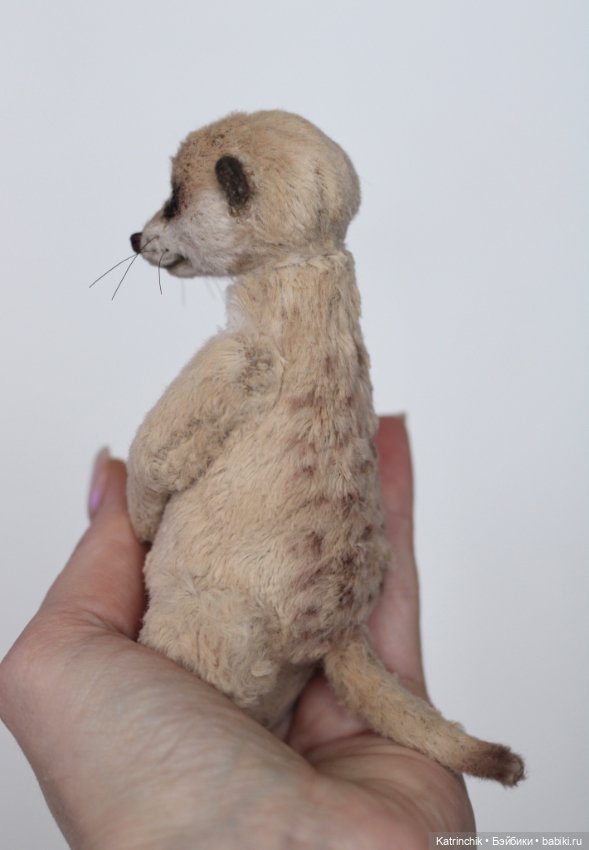 Сурикат тедди — Авторские игрушки (фото 6)