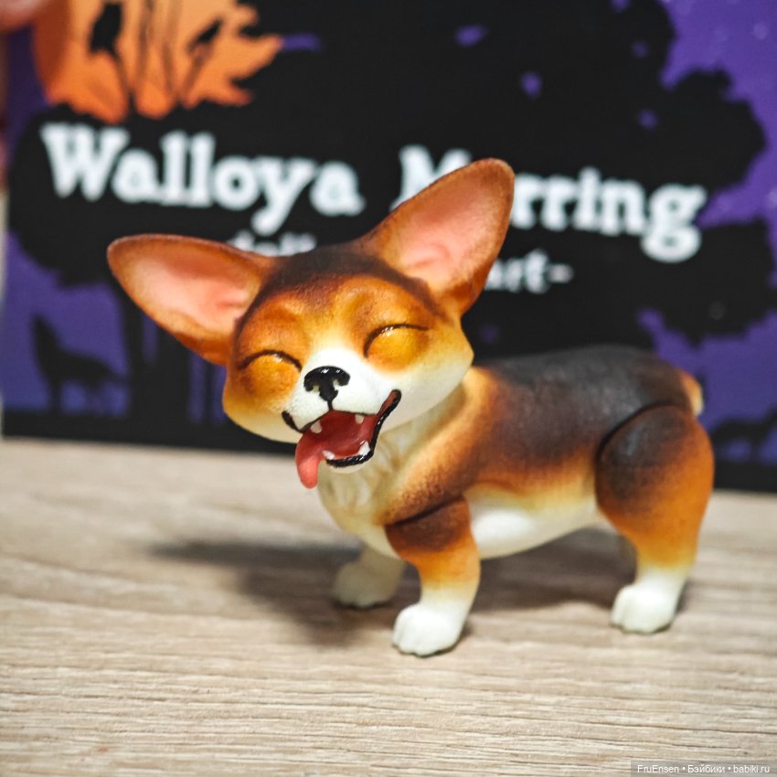 Магнитный корги — Авторские куклы BJD (фото 3)