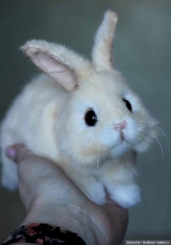Кролик — Авторские игрушки (фото 8)