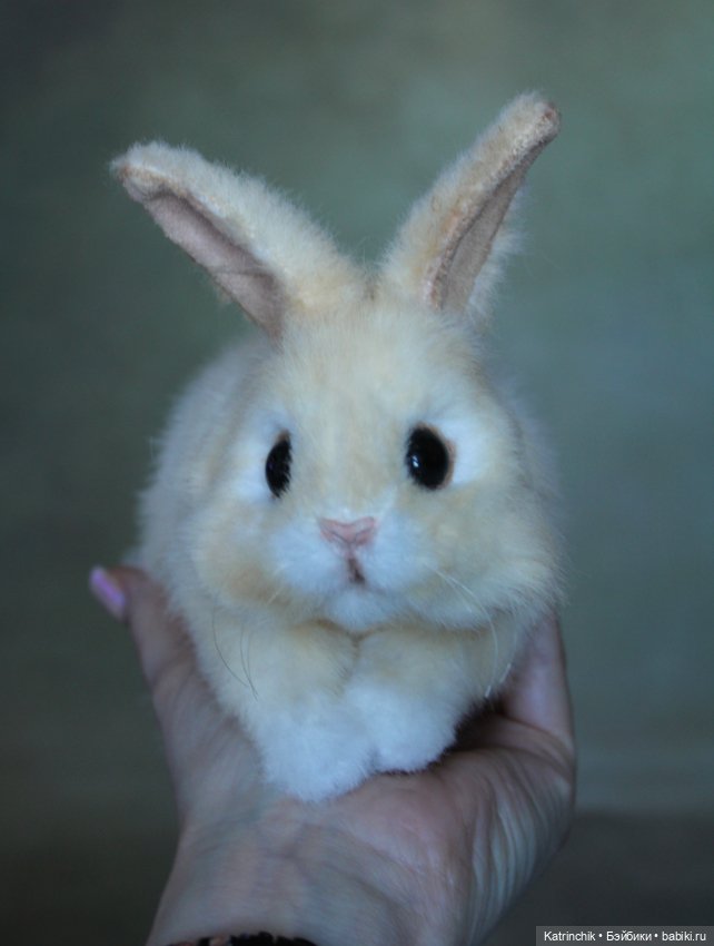 Кролик — Авторские игрушки (фото 5)