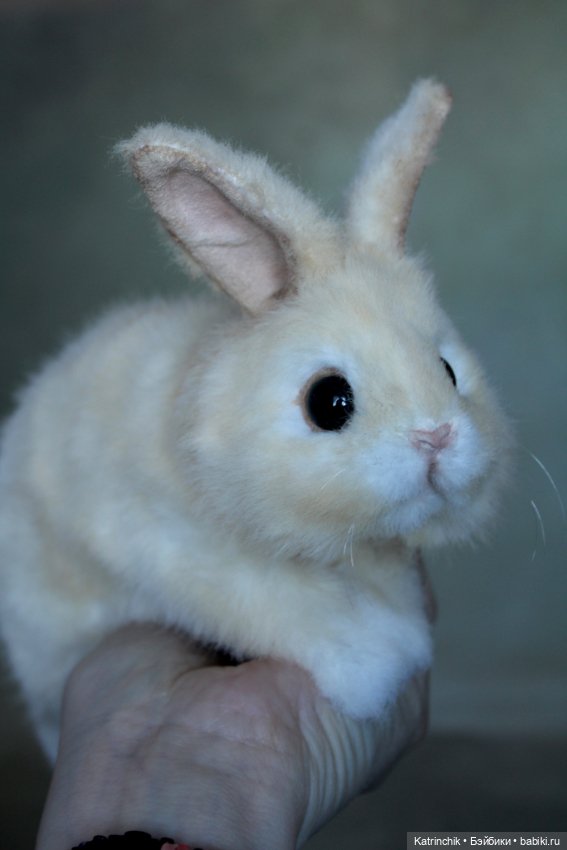 Кролик — Авторские игрушки (фото 6)